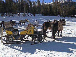 �A�������^���[���̔n��