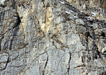 ���K�b�c�I�C�@�e�e�̂���