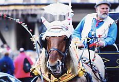 �D�����˂�