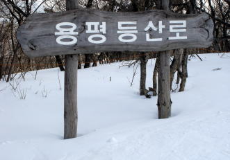 �h���S���o���[