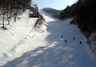 �h���S���o���[