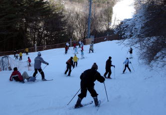 �h���S���o���[