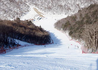 �h���S���o���[