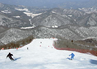 �h���S���o���[