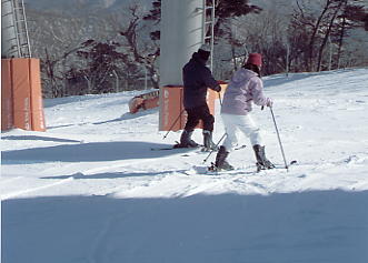 �h���S���o���[