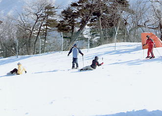 �h���S���o���[