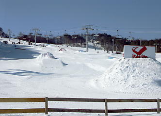 �h���S���o���[