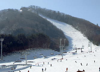 �h���S���o���[