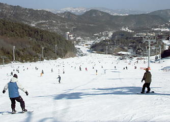 �h���S���o���[