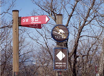 �h���S���o���[