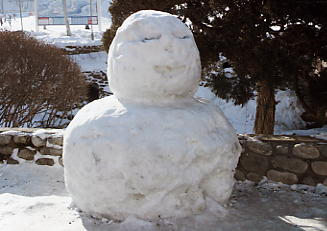 �h���S���o���[�F�䂫�����