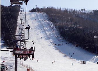 �h���S���o���[