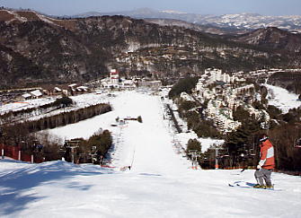 �h���S���o���[