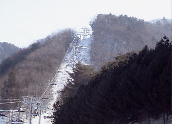 �h���S���o���[