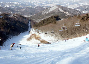 �h���S���o���[