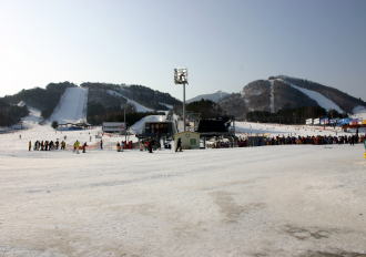 �h���S���o���[