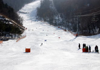 �h���S���o���[