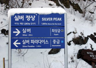 �h���S���o���[