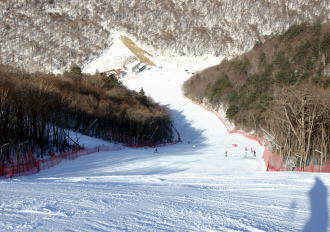 �h���S���o���[