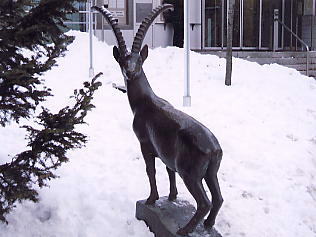 �O�����f�������g�F���M