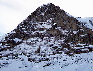 �A�C�K�[�k��