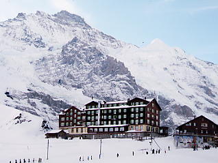 �����O�t���E