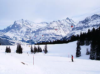 �x�b�^�[�z����