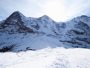 �A���v�X�O�R