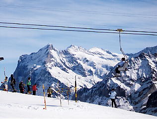 �x�b�^�[�z����