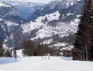 �E�F���Q��