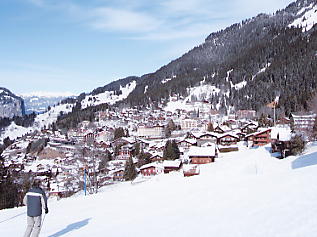 �E�F���Q��