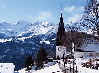 �E�F���Q���̋���