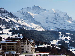 �����O�t���E