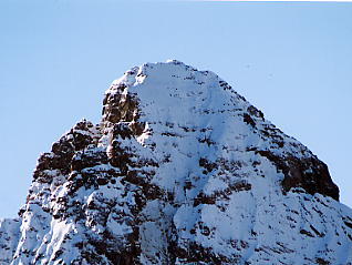 �O�����f�������g_�`���Q���z����