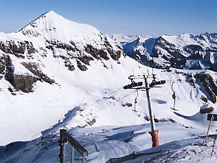 �O�����f�������g_�V���g�z����