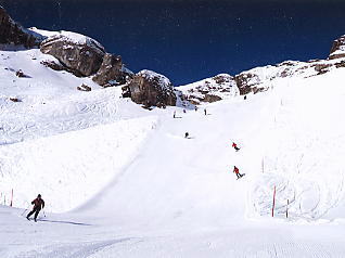 �O�����f�������g_�V���g�z����