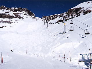 �O�����f�������g_�V���g�z�����̃��t�g