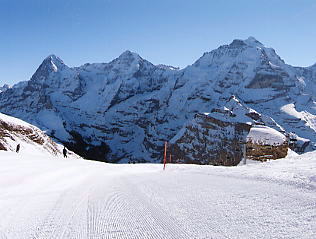 �O�����f�������g_�V���g�z�����̕��i