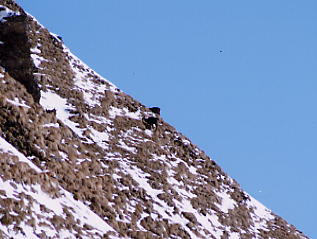 �O�����f�������g�@��