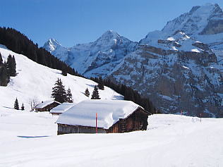 �O�����f�������g_�V���g�z����_����