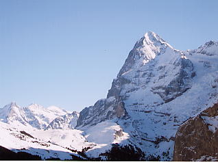 �O�����f�������g_�V���g�z����_�A�C�K�[