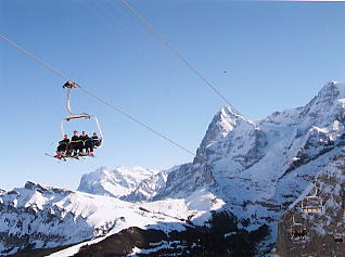 �O�����f�������g_�V���g�z����_�A�C�K�[