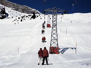 �O�����f�������g_�V���g�z����_T�o�[