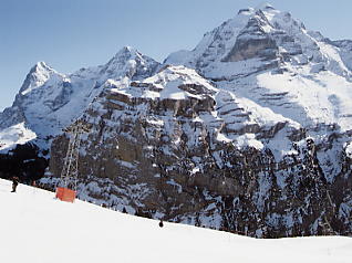 �O�����f�������g_�V���g�z����_�����O�t���E