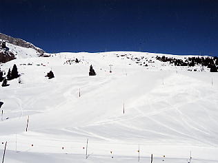 �O�����f�������g_�V���g�z����_�R�[�X