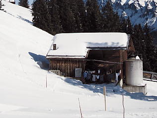 �O�����f�������g_�V���g�z����_����