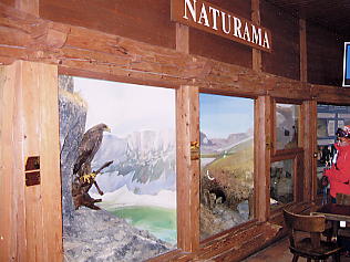 �O�����f�������g_����