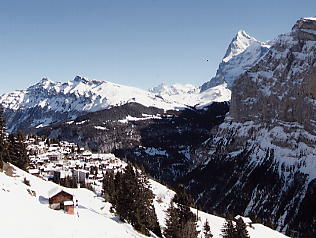 �O�����f�������g_�V���g�z����_�~���[����