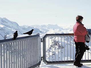 �O�����f�������g_�V���g�z����_�s�b�c�O�����A