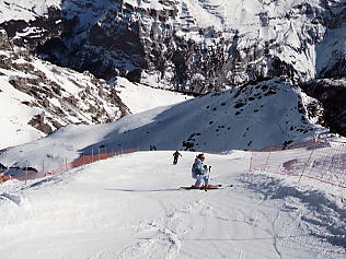 �O�����f�������g_�V���g�z����_�s�b�c�O�����A